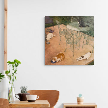 Catio
